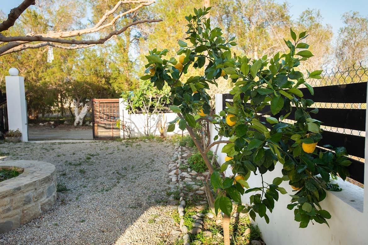 Afrathias Beachhouse - Cretan Hideaway Kalamaki  Esterno foto